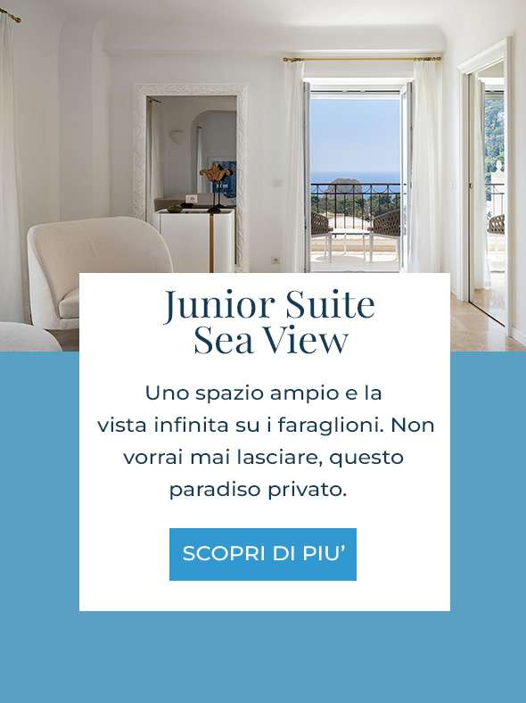 Junior Suite Sea View